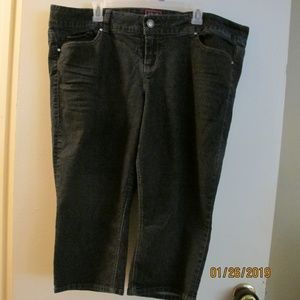 torrid capris with bling accent sz22